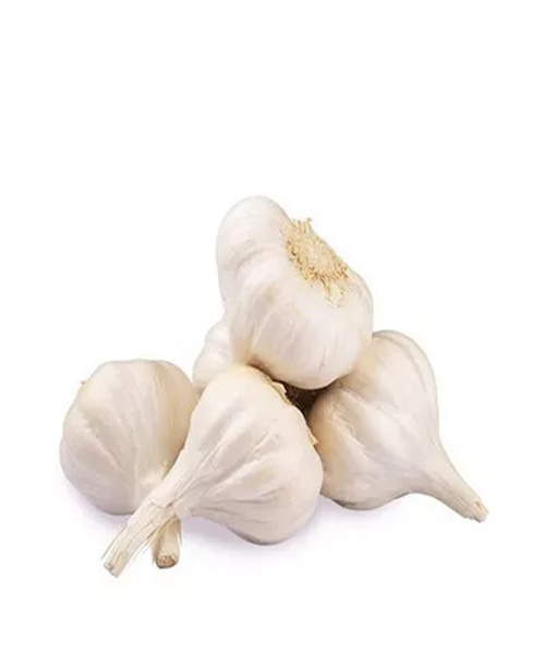 deshi-roshun-garlic-local-5